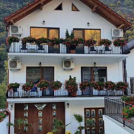 Casa Mimi Daire Băile Herculane Dış mekan fotoğraf