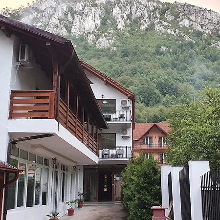 Casa Mimi Daire Băile Herculane Dış mekan fotoğraf