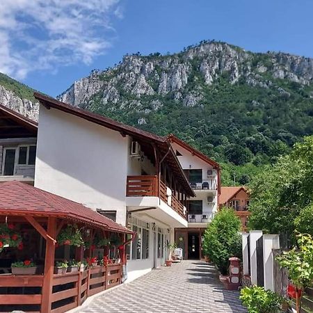 Casa Mimi Daire Băile Herculane Dış mekan fotoğraf
