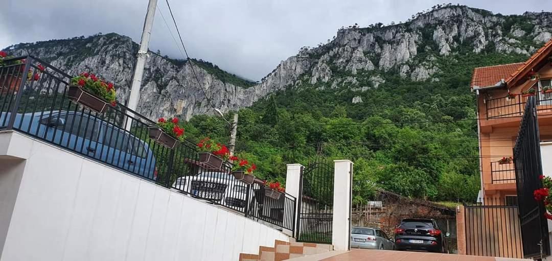 Casa Mimi Daire Băile Herculane Dış mekan fotoğraf