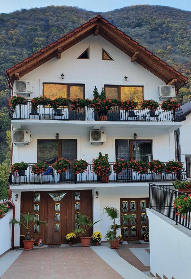 Casa Mimi Daire Băile Herculane Dış mekan fotoğraf