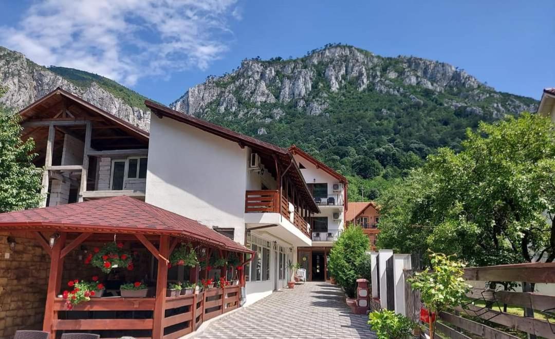 Casa Mimi Daire Băile Herculane Dış mekan fotoğraf